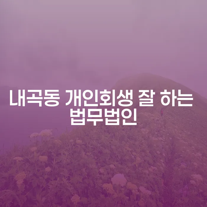 내곡동 개인회생 잘 하는 법무법인